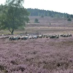 Vogelsang شقة