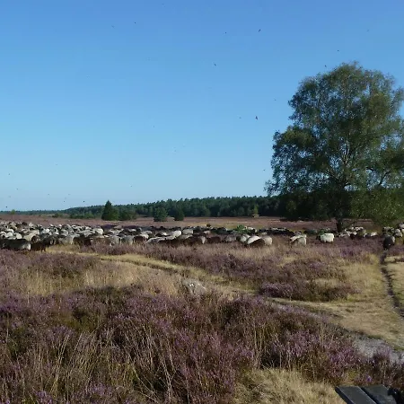 Διαμέρισμα Vogelsang *