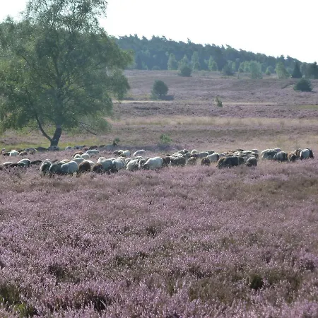 Vogelsang Apartamento