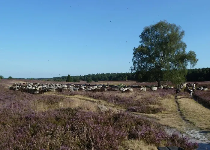 Appartement Vogelsang *