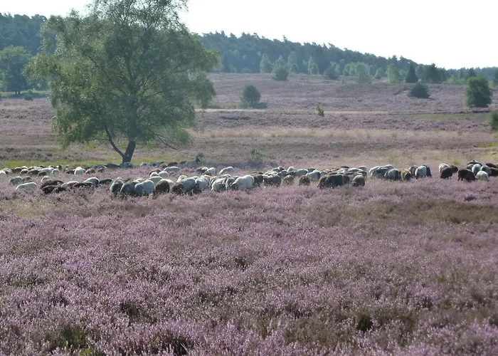 Vogelsang Appartement